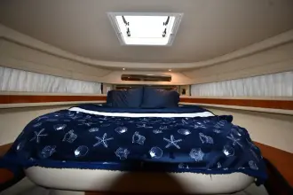 Thumbnail von Sea Ray 460 Sundancer