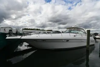 Thumbnail von Sea Ray 460 Sundancer