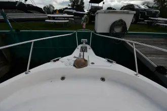 Thumbnail von Sea Ray 460 Sundancer