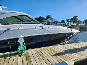 Thumbnail von Sea Ray 540 Sundancer