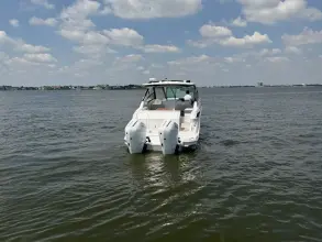 Thumbnail von Sea Ray 320 Sundancer Outboard