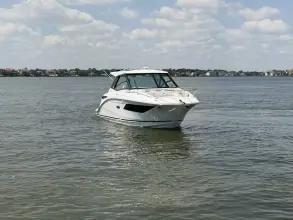 Thumbnail von Sea Ray 320 Sundancer Outboard