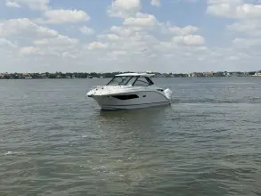 Thumbnail von Sea Ray 320 Sundancer Outboard