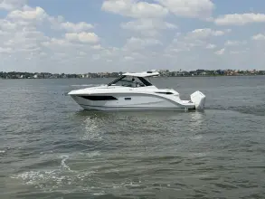 Thumbnail von Sea Ray 320 Sundancer Outboard