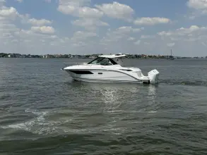 Thumbnail von Sea Ray 320 Sundancer Outboard