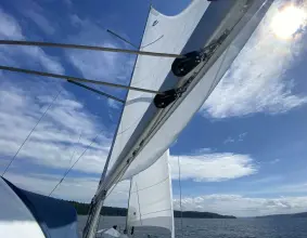 Thumbnail von Beneteau Oceanis 46.1 Run For The Roses