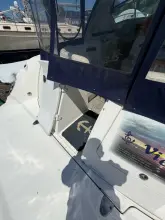Thumbnail von Sea Ray 380 Sundancer Vienna