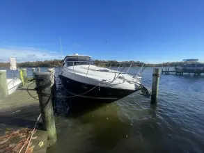 Thumbnail von Sea Ray 380 Sundancer Vienna