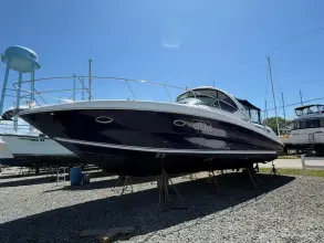 Thumbnail von Sea Ray 380 Sundancer Vienna
