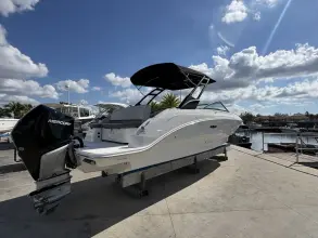 Thumbnail von Sea Ray SDX 250 Outboard