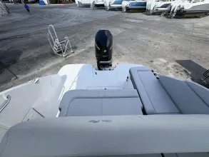 Thumbnail von Sea Ray SDX 250 Outboard