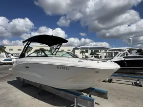 Thumbnail von Sea Ray SDX 250 Outboard