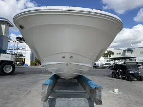Thumbnail von Sea Ray SDX 250 Outboard
