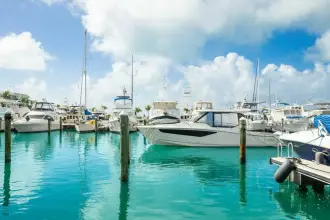 Thumbnail von Boston Whaler 40 `