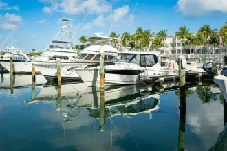Thumbnail von Boston Whaler 40 `