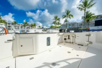 Thumbnail von Boston Whaler 40 `