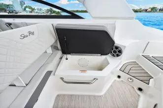 Thumbnail von Sea Ray SDX 250 Outboard