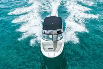 Thumbnail von Sea Ray SDX 250 Outboard
