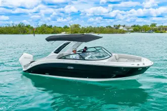 Thumbnail von Sea Ray SDX 250 Outboard