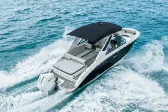 Thumbnail von Sea Ray SDX 250 Outboard