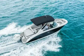 Thumbnail von Sea Ray SDX 250 Outboard