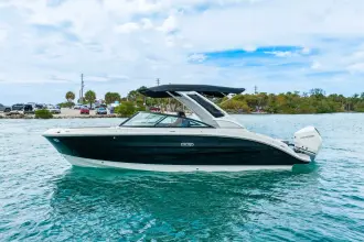 Thumbnail von Sea Ray SDX 250 Outboard