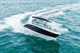 Thumbnail von Sea Ray SDX 250 Outboard