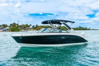 Thumbnail von Sea Ray SDX 250 Outboard