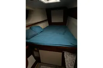 Thumbnail von Yellowfin 36 Offshore SO KNOT
