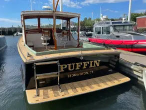 Thumbnail von John Williams Stanley 36 Puffin