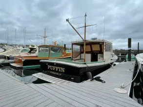 Thumbnail von John Williams Stanley 36 Puffin