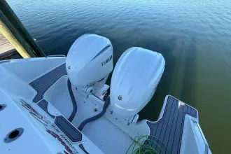 Thumbnail von Pursuit DC 326 Nauti Kitten
