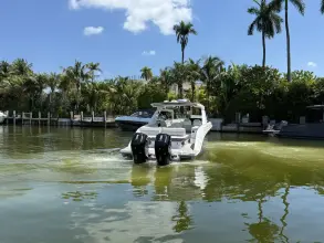 Thumbnail von Sea Ray SLX 400 Outboard