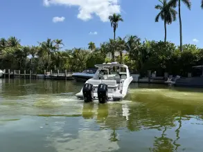 Thumbnail von Sea Ray SLX 400 Outboard