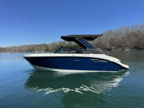 Sea Ray SDX 230