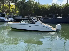Sea Ray SDX 270 Outboard
