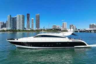 Arno 31 Venture