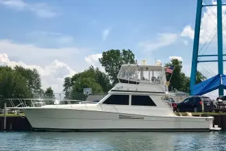 Thumbnail von Viking 48 Convertible PATIENCE III