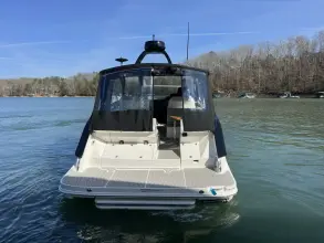 Thumbnail von Sea Ray 370 Sundancer