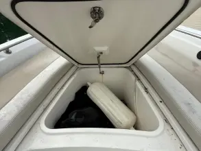 Thumbnail von Boston Whaler 240 DAUNTLESS PRO