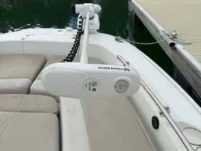 Thumbnail von Boston Whaler 240 DAUNTLESS PRO