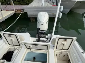 Thumbnail von Boston Whaler 240 DAUNTLESS PRO