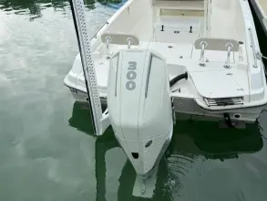 Thumbnail von Boston Whaler 240 DAUNTLESS PRO