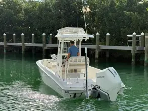 Thumbnail von Boston Whaler 240 DAUNTLESS PRO