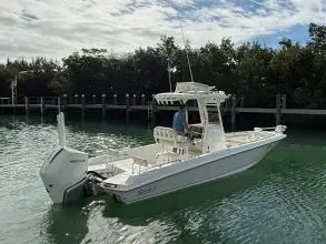 Thumbnail von Boston Whaler 240 DAUNTLESS PRO