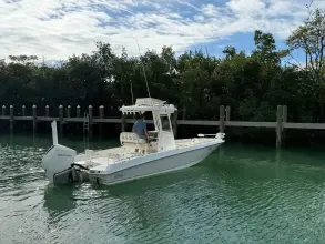 Thumbnail von Boston Whaler 240 DAUNTLESS PRO