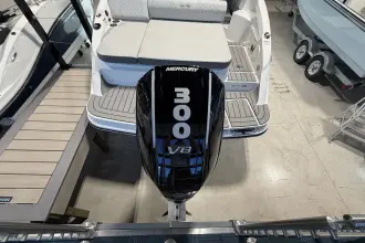 Thumbnail von Sea Ray SDX 250 Outboard