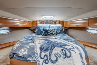 Thumbnail von Cruisers Yachts 420 Express