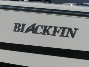Thumbnail von Blackfin 262 HB