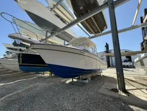 Thumbnail von Grady White Marlin 300 Fishaholics